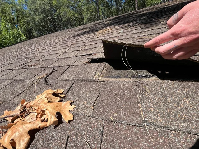 Lifted and damaged shingles on a storm-damaged roof